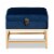 Bowery Hill Navy Blue Fabric and Gold Finished Metal Ottoman Perspective: bottom