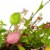 Northlight Easter Egg with Berry Floral Springtime Wreath, Pink and Green 20 Perspective: bottom