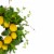 Northlight Lemons and Assorted Foliage Spring Wreath, Yellow and Green 20 Perspective: bottom