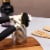 Core Home Essential Can Opener Perspective: bottom