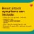 Bayer® Low Dose Safety Coated Pain Relief 81mg Asprin Tablets Perspective: bottom