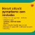 Bayer® Low Dose Safety Coated Pain Relief 81mg Asprin Tablets Perspective: bottom