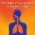Delsym® 12 Hour Orange Flavor Cough Suppressant Liquid Perspective: bottom