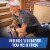 Red Bull Winter Edition Fig Apple Energy Drink Perspective: bottom