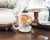 Carolines Treasures 7257CM15 Cat Coffee Mug 15 oz Perspective: bottom
