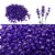 AGPtEK Purple Hard Wax Beans Hair Removal Painless Wax Warmer Waxing Beans Natural Pearl Perspective: bottom