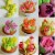 Kitcheniva Icing Piping Nozzles Cake Decoration Tip Perspective: bottom