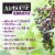 Airborne Elderberry Vitamin C D & E Immune Support Supplement Gummies Perspective: bottom