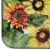 Carolines Treasures 8766DDM Sunflowers Dish Drying Mat Perspective: bottom