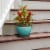 Southern Patio Cadiz 8 Diameter Crackled Ceramic Planter Pot with Saucer, Teal Perspective: bottom