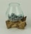 Clear Molten Glass On Teak Driftwood Base Decorative Bowl Vase Terrarium Planter Perspective: bottom