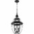 Z-Lite Westover 3 Light Clear Glass Brass Outdoor Chain Mounted Pendant in Black Perspective: bottom
