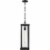 Z-Lite Glenwood 22  Clear Aluminum Glass Outdoor Chain Mounted Pendant in Black Perspective: bottom