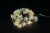 30 Light 10 Foot Starfish Indoor/Outdoor Battery Operated LED String Light Set Perspective: bottom