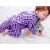 Baby Fanatic Gray Security Bear - NCAA Clemson Tigers Perspective: bottom