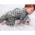 Baby Fanatic Gray Security Bear - NCAA NC State Wolfpack Perspective: bottom