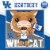 University of Kentucky® Wildcats Mascot Square Puzzle Perspective: bottom