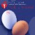Eggland's Best Classic Large White Eggs, 24 count Perspective: bottom