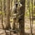 Summit SU81577 Viper SD EDGE Adjustable Portable Climbing Treestand Perspective: bottom