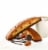 Nonni's Toffee Almond Biscotti Cookies Perspective: bottom