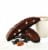 Nonni's Dark Chocolate Almond Biscotti 8 Count Perspective: bottom
