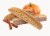 Nonni's Pumpkin Spice Biscotti Cookies Perspective: bottom