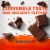Clif Builders Chocolate Flavor Protein Bar Perspective: bottom