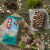 Clif Bar Cool Mint Chocolate With Caffeine Energy Bars Perspective: bottom