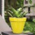 Krylon® ColorMaxx Gloss Sun Yellow Indoor/Outdoor Spray Paint and Primer Perspective: bottom