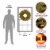 24 in. Pre-Lit Downswept Douglas Wreath with Warm White LED Lights- National Tree Company Perspective: bottom