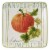 Tabletop Autumn Harvest Canape Plate Set Ceramic Thanksgiving Fall St/4 37250 Perspective: bottom