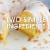 Thai Kitchen® Unsweetened Lite Coconut Milk Perspective: bottom