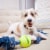 Mammoth® Floss Chews® Denim Rope 3 Knot Tug Dog Toy with Ball Perspective: bottom