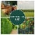 Rust-Resistant Wire Mesh Fence - Protect Plants & Animals Perspective: bottom