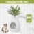 Smart Plant Cat Litter Box with Electronic Odor Removal System - Stylish & Innovative Perspective: bottom