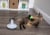 Petlinks Pure Commotion Electronic Motion Wand Toy for Cats - Gray/Green Perspective: bottom