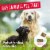 Charlee Bear® Grain Free Meaty Bites Beef Liver & Sweet Potatoes Perspective: bottom