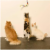 3-Pack Rainbow Cat Dancer-Cat Charmer Wand,Teaser-Cat & Kitten Toy! Perspective: bottom