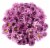 Spring Pomps Floral Bouquet Perspective: bottom