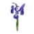 Iris Perspective: bottom