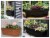 Bloem 30in Dura Cotta Window Box Terra Cotta DCBT30-46 Perspective: bottom