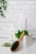 Native Hair Cucumber & Mint Volumizing Shampoo Perspective: bottom