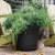 Bloem SP1000 Saturn Indoor Outdoor 10 Inch Planter Pot w/ Attached Saucer, Black Perspective: bottom