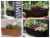 Bloem DCBT30-45 30 in. Dura Cotta Window Box Planter, Chocolate Perspective: bottom