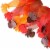 Midlee Thanksgiving Turkey Decorative Dog Collar (Medium) Perspective: bottom