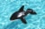 H2OGo!™ Jumbo Whale Rider - Black/White Perspective: bottom