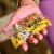 Bobo's® Banana Chocolate Chip Oat Bars Perspective: bottom