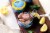Wild Planet Skipjack Wild Tuna Perspective: bottom
