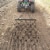 Yard Tuff 4 x 4 Ft Lawn, Garden, & Driveway Steel Attachment Landscape Drag Tool Perspective: bottom