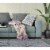 Rose Box Broadcloth Indoor Outdoor Blown And Closed Pillow In Off White Blue Perspective: bottom